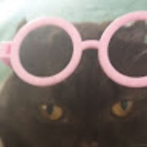 Meet your Posher, Jack